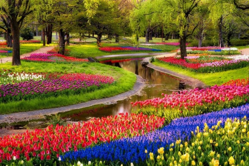 Открытие сада цветов в Голландии
