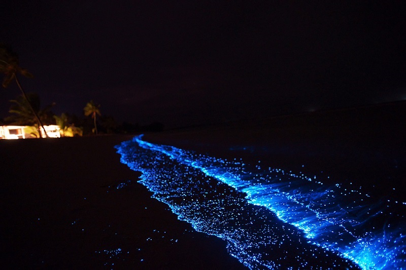 Океан звезд на Мальдивах