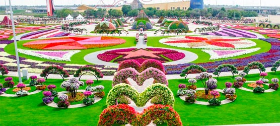 Dubai Miracle Garden – Чудо-сад в Дубае